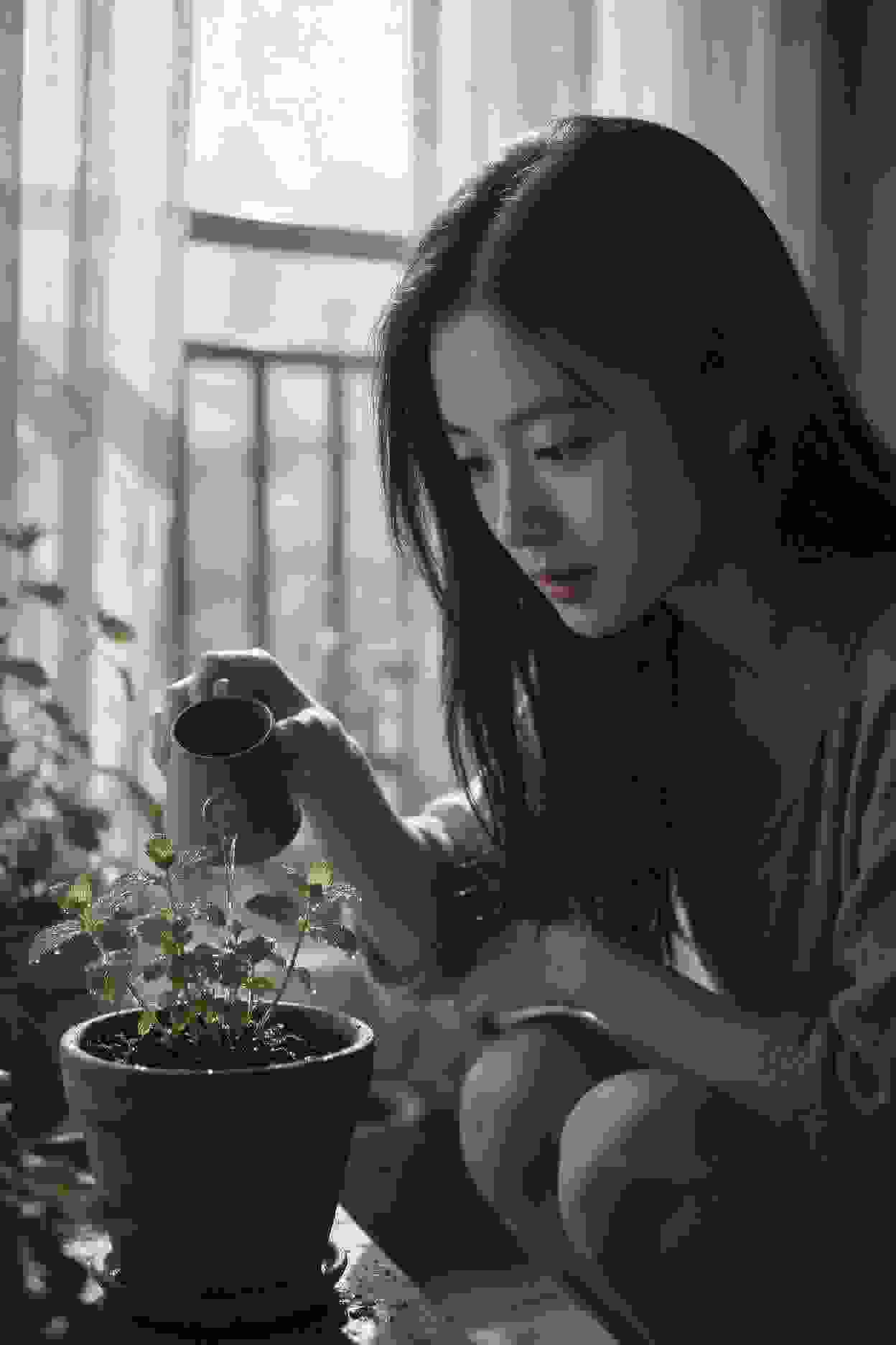 网络文学改编